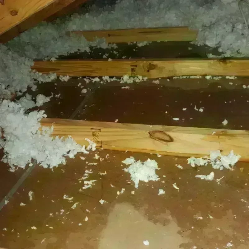 Attic Water Damage in La Verne, CA